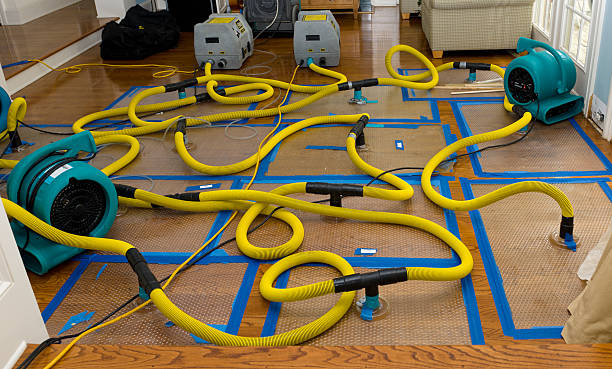 Professional Storm Water Damage Restoration technician working in Charleston, IL